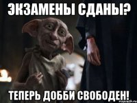 Экзамены сданы? Теперь Добби свободен!