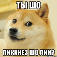 ты шо пикинез шо лии?