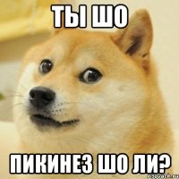 ты шо пикинез шо ли?