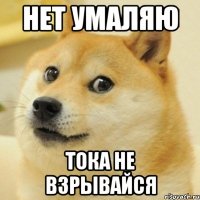 нет умаляю тока не взрывайся