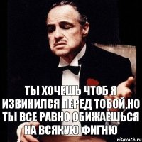 Ты хочешь чтоб я извинился перед тобой,но ты все равно обижаешься на всякую фигню