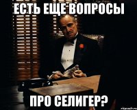 Есть еще вопросы Про селигер?