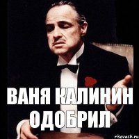 Ваня Калинин одобрил