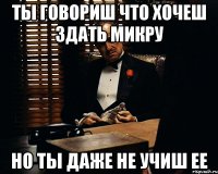 Ты говориш что хочеш здать микру но ты даже не учиш ее