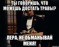 Ты говоришь, что можешь достать травы? Лера, не обманывай меня!