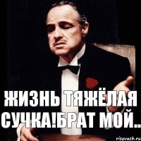 Жизнь тяжёлая сучка!Брат мой..