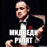 мидведи рулят