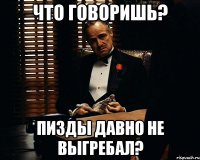 Что говоришь? пизды давно не выгребал?