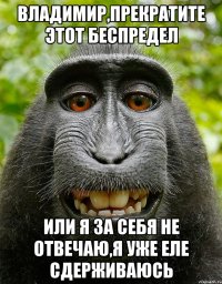 Владимир,прекратите этот беспредел или я за себя не отвечаю,я уже еле сдерживаюсь