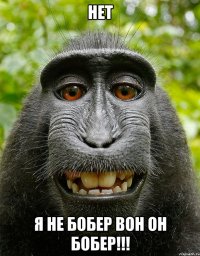 Нет Я не Бобер вон он бобер!!!