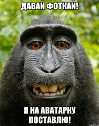 Давай фоткай! Я на аватарку поставлю!