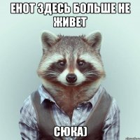 енот здесь больше не живет СЮКА)