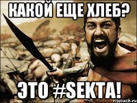 КАКОЙ ЕЩЕ ХЛЕБ? ЭТО #SEKTA!