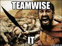 TEAMWISE IT