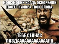 мои эмоции когда оскорбили твоего кумира твои слова: тебе сейчас ПИЗДААААААААААААА!!!!