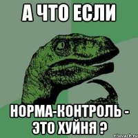 А что если Норма-контроль - это хуйня ?