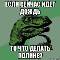 если сейчас идет дождь то что делать Полине?