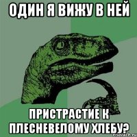 Один я вижу в ней пристрастие к плесневелому хлебу?