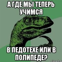 А где мы теперь учимся в педотехе или в полипеде?