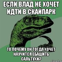 Если Влад не хочет идти в скайпарк То почему он тогда хочет научится ебашить сальтухи?