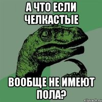 А что если челкастые вообще не имеют пола?