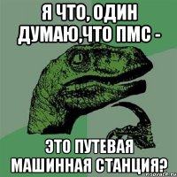 Я что, один думаю,что ПМС - это Путевая Машинная Станция?