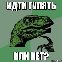 Идти гулять или нет?