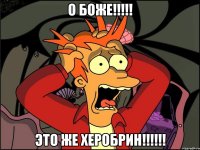 о боже!!!!! это же херобрин!!!!!!