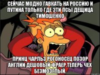 Сейчас модно гавкать на россию и путина только где эти псы дещица тимошенко Принц чарльз рогоносец позор англии дешовый фраер.теперь чех безмозглый.