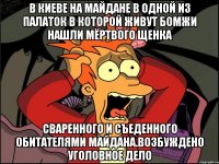 В киеве на майдане в одной из палаток в которой живут бомжи нашли мёртвого щенка Сваренного и съеденного обитателями майдана.возбуждено уголовное дело