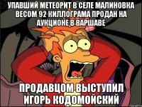 Упавший метеорит в селе малиновка весом 92 киллограма продан на аукционе в варшаве Продавцом выступил игорь кодомойский