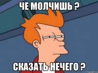 Че молчишь ? Сказать нечего ?