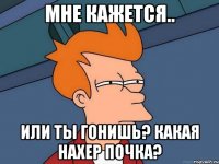 Мне кажется.. Или ты гонишь? Какая нахер почка?