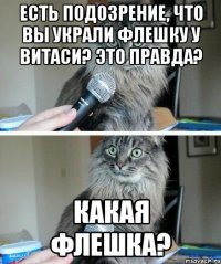 Есть подозрение, что вы украли флешку у Витаси? Это правда? Какая флешка?