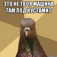 это не твоя машина там под кустами? 