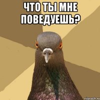 Что ты мне поведуешь? 