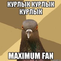 КУРЛЫК КУРЛЫк кУРЛЫК Maximum FAN