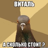 виталь а сколько стоит ?