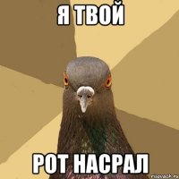 Я твой Рот насрал