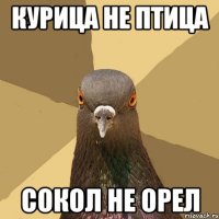 Курица не птица Сокол не орел