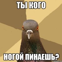 ты кого ногой пинаешь?