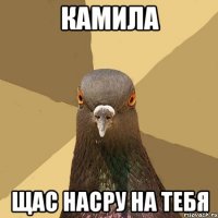 Камила Щас насру на тебя