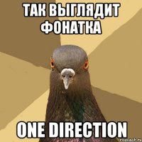 Так выглядит фонатка One Direction