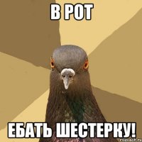 в рот ебать шестерку!