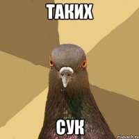 Таких Сук