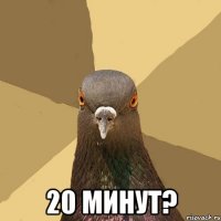  20 минут?