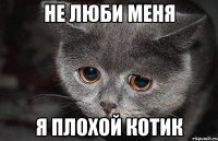 НЕ ЛЮБИ МЕНЯ Я ПЛОХОЙ КОТИК