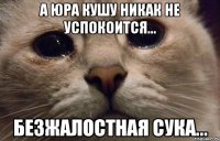 А Юра Кушу никак не успокоится... Безжалостная сука...