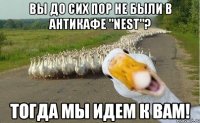 Вы до сих пор не были в Антикафе "Nest"? Тогда мы идем к вам!