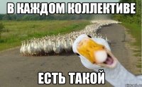 В каждом коллективе Есть такой